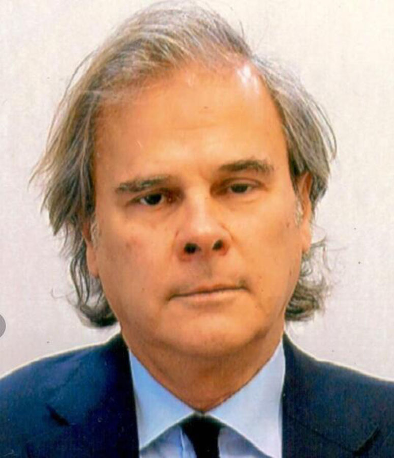 Portrait of Guest Editor Romolo Di Iorio